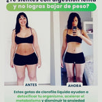 Clorofila Benevolent con  ENVÍO GRATIS⭐️⭐️⭐️⭐️⭐️