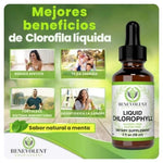 Clorofila Benevolent con  ENVÍO GRATIS⭐️⭐️⭐️⭐️⭐️